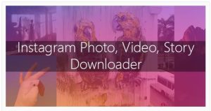 Instagram Image, Video, and Story Downloader