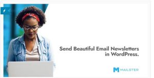 Mailster - Email Newsletter Plugin for WordPress
